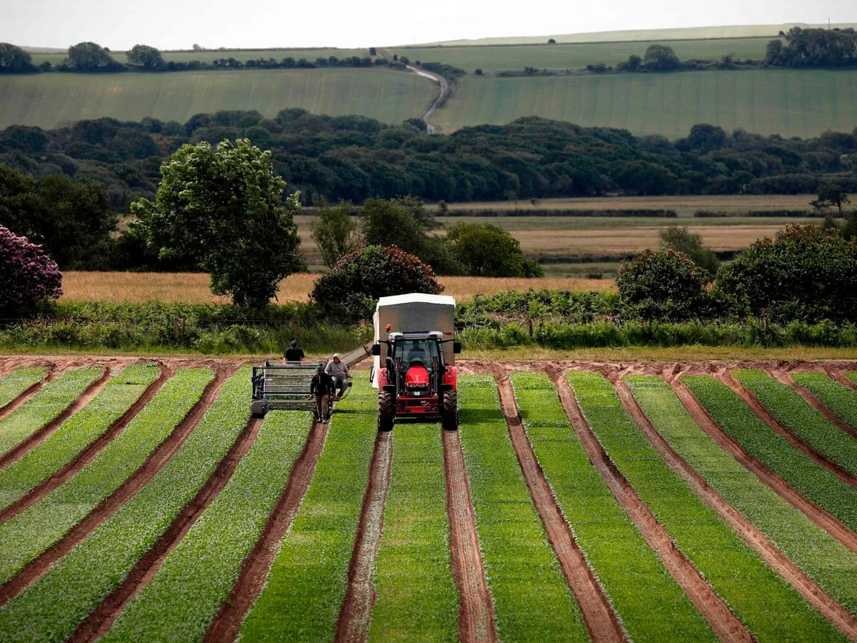 Urgent Concerns Over Inheritance Tax Impacting UK Farmers' Profitability